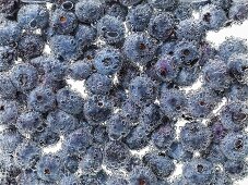 Blueberries under water with bubbles