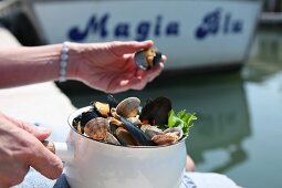 Conchiglie al vino bianco (mussels in white wine, Italy)