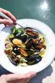 Zuppa di conchiglie (mussel soup, Italy)