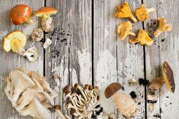 Fresh wild mushrooms
