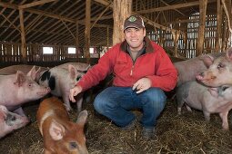 A farmer in a pig pen