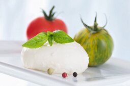 Red and green tomatoes, basil, peppercorns and mozzarella