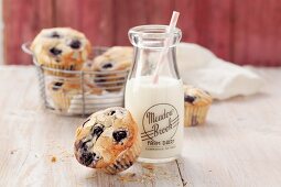 Blueberry muffins