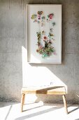 Various flowers in display case on exposed concrete wall above rustic wooden stool in shaft of sunlight on floor