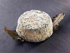 Chataignier (French goat's cheese)