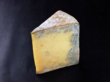 Bleu de termignion (French cow's milk cheese)