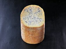 Fourme de Montbrison (French cow's milk cheese)