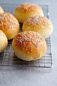 Homemade burger buns