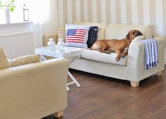 Wohnzimmerecke mit heller Sofagarnitur, schlafender Hund neben Kissen mit amerikanischer Flagge