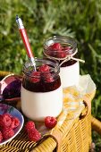 Lemon syllabub with raspberries for a picnic