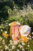 Sponge cake with orange glaze for a picnic