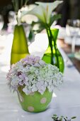 Hydrangea flowers decorating table