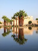 Palm trees reflected in the water in front of the Medina of Fez, one of the four royal cities in Morocco