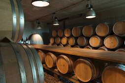 Barrique barrels stored in a wine cellar; Weingut am Stein, Würzburg