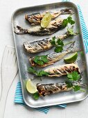 Baked tikka masala sardines