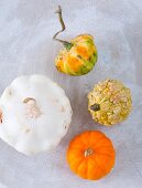 Various pumpkins (seen from above)