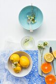An arrangement of lemons and tangerines