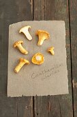 Chanterelle mushrooms on a piece of paper