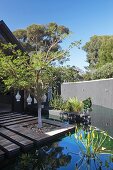 Tree planted in wooden terrace integrated in pond in garden with high wall