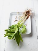 Fresh wild garlic with roots