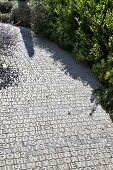 Paved garden path with pattern of numbers and letters