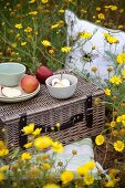 Gelben Wiesenblumen, Picknickkoffer, Geschirr, Kissen und Äpfel