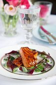 Marinated salmon on a bed of salad