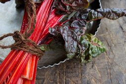 A bundle of red chard (detail)
