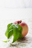 A white peach with leaves