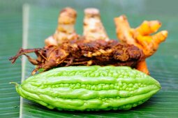 A tamarind, a bitter melon, turmeric and galangal on a leaf