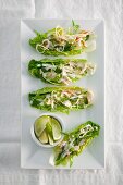 Chicken salad in lettuce leaves