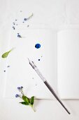 Forget-me-nots and ink pen on blank page of book spattered with ink