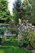 Blick in sommerlichen ländlichen Garten mit geöffnetem Gartentor