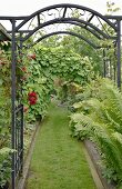 Black, metal arched trellis over garden path