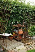 Rusty metal trellis and terracotta pots on shelves against tall garden hedge