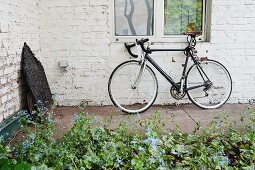 Bicycle leaning against whitewashed brick wall behind flowerbed