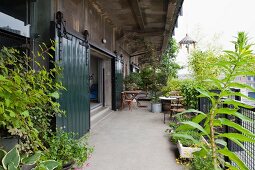 Terrace of loft apartment with potted plants and vintage sliding doors