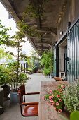 Blumentöpfe auf alten Holztisch und Retro Freischwinger auf der Terrasse eines Lofts