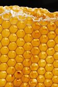 A golden honeycomb