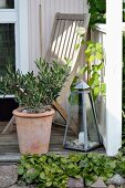 Small olive tree in terracotta pot, candle lantern and teak chair on veranda