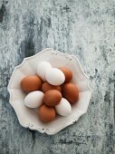 Brown and white eggs on a ceramic plate