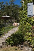Stone steps edged by plants leading to terrace of Provençal guest house; open pale blue window shutter to one side
