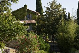 Berankte Giebelseite eines umgenutzten, historischen Gebäudes mit Natursteinmauer, alten Bäumen und Oleander im umgebenden Garten