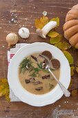 Autumnal mushroom soup with sprig of dill and pumpernickel bread