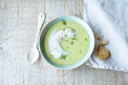 Cream of fennel soup