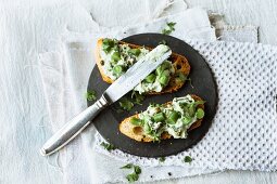 Bean and ricotta spread with sesame seed paste and coriander