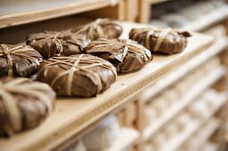 Cheeses wrapped in vine leaves for cultivation in a ripening chamber, Alsace