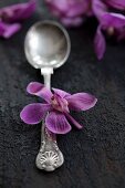 A silver spoon with purple orchid flowers