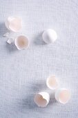 White eggshells on a white surface