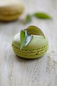 A green tea macaroon